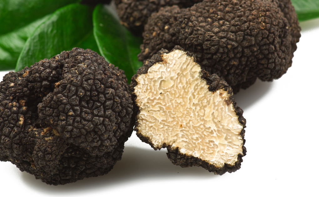 What Is Truffle? And How Does It Taste?