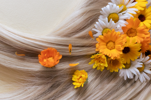 5 Hair Growth Foods for Healthy Scalp