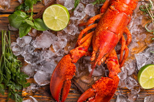 How to Cook Lobster- The Best Way for an Easy Meal Ideas for Lobster